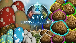 GUIA DEFINITIVA GRANJA DE HUEVOS Y COMO HACER KIBBLES EN ARK SURVIVAL ASCENDED [upl. by Ziom295]