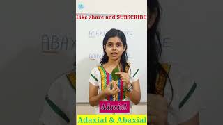 Adaxial and Abaxial Leaf Botany Terminology Meaning of Adxial and Abaxial  studyofbio shorts [upl. by Sylirama633]