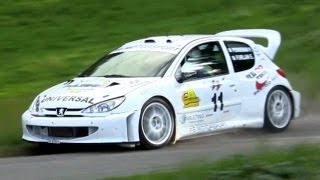 Peugeot 206 WRC Tribute  Sound amp Loud AntiLag [upl. by Thibaud]