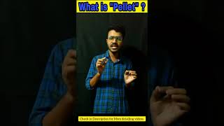 What is Iron Ore Pellet   Simple described by Subhajit Mondal  shorts pelletindustry pellet [upl. by Siegel]