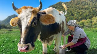 Rustic Cheese made from Fresh Milk Azerbaijani Dairy Food [upl. by Annayrb]