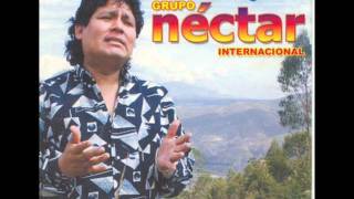 Grupo nectar  Internacional  Salud por ti [upl. by Soisatsana]