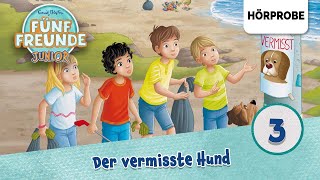 Fünf Freunde Junior  Folge 3 Timmy der MeisterdetektivDer vermisste Hund  Hörprobe zum Hörspiel [upl. by Jilly]