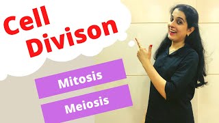 Cell Division Mitosis and Meiosis ICSE Class 10 Biology [upl. by Affra]