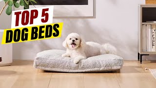 Luxury Dog Beds Pamper Your Pup in Style [upl. by Most]