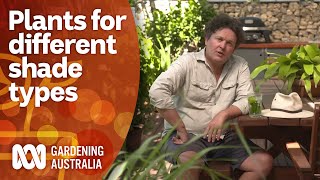 How to plan your garden around light and shade  Garden Design and Inspiration  Gardening Australia [upl. by Iel764]