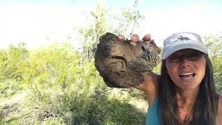 3 Examples of BASALT Rock Have You Ever Seen These [upl. by Basil]