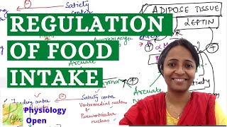 Functions of hypothalamusfood intake feeding amp satiety center  Role of leptin  theories  mbbs [upl. by Fernande]