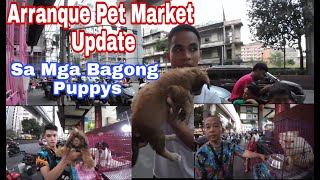 Arranque Pet Market Update [upl. by Zondra]