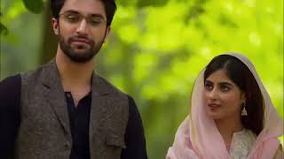 O matti k parindey Hum Tv Drama Yaqeen Ka Safar Richa Sharma [upl. by Nanreh]