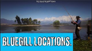 Red Dead Redemption II Bluegill Locations [upl. by Diskin]