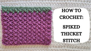 How To Crochet Spiked Thicket Stitch  Tutorial DIY Beginner Crochet Easy Crochet PrettyCute 😊 [upl. by Hanni]