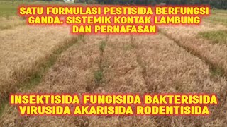 PESTISIDA BERFUNGSI GANDA INSEKTISIDA FUNGISIDA BAKTERISIDA VIRUSIDA AKARISIDA RODENTISIDA [upl. by Attehcnoc103]