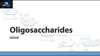 OLIGOSACCARIDES [upl. by Toblat]