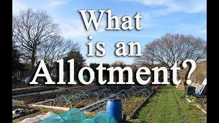 What is an allotment Growing food in the UK [upl. by Amelia]