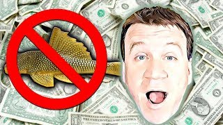 How to sell a 1000 a month Breeding for Profit and its not Fish [upl. by Torbert]