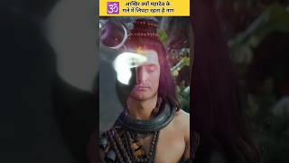 महादेव के साथ क्यों रहता है नाग  facts mahadev shortfeed shorts [upl. by Darla]