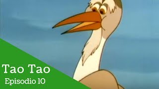 Tao Tao Episodio 19 El pájaro del arco iris [upl. by Ynettirb]