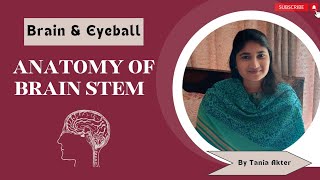 Anatomy of Brain Stem  Bangla Demonstration of Brain Stem  Viscera of Brain Stem  Brain Stem Demo [upl. by Zednanref]