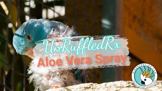 UnRuffledRx Aloe Vera Spray for Parrots Soothing Feather Plucking Spray for Itchy Parrots [upl. by Fairley760]