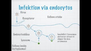 Virus [upl. by Bissell]