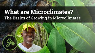 What Are Microclimates The Basics of Microclimates in Permaculture [upl. by Stinky]