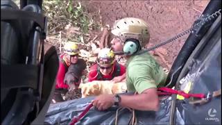 Bombeiro paraense de Tucuruí PA no resgate de sobreviventes e vítimas em Brumadinho MG [upl. by Naira]