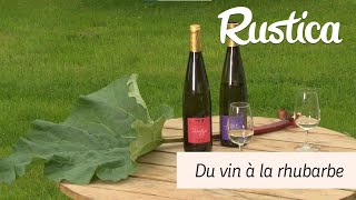 Vin à la rhubarbe [upl. by Levina]