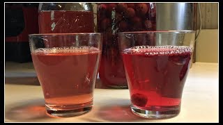 YOU MUST CAN THIS Delicious Grape Juices [upl. by Janie]