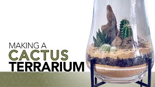 Making a cactus terrarium [upl. by Cordelia]