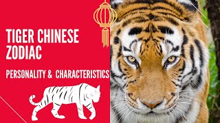 Tiger chinese zodiac sign horoscope prediction 2023 [upl. by Marylynne465]