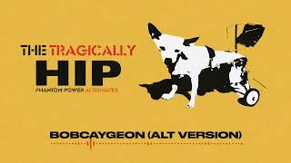 The Tragically Hip  Bobcaygeon AudioAlternate Version [upl. by Kinny151]