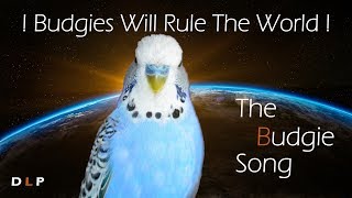 THE BUDGIESONG Budgies will rule the world [upl. by Natala]