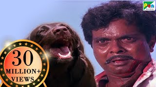 Moti Dog Revenge  Kills Sadashiv  Teri Meherbaniyan Climax Scene 01  Jackie Shroff Amrish Puri [upl. by Charron]