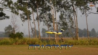 HobbyKing DragonFly EDF BalsaPly Park Jet ARF [upl. by Koralie]