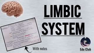 The Limbic System  Amygdala  Hippocampus  Papez and amygdala circuit [upl. by Ecirtaeb]