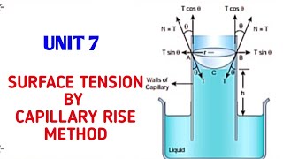 Experiment of capillary action water rising [upl. by Anailuig]