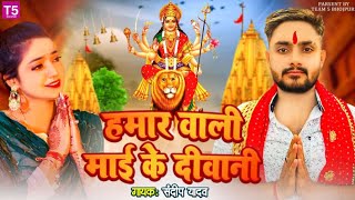 video  हमार वाली माई के दिवानी ह  Sandeep Yadav  Loverspecial Navratri Song Bhojpuri 2024 [upl. by Odlavu436]