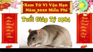 Tử vi tuổi Giáp Tý 1984 năm 2020 nữ mạng khó khăn hay thuận lợi [upl. by Vogeley183]