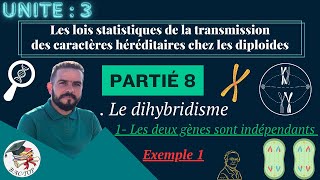 UNITÉ 3  Parti 8  le dihybridisme deux gènes indépendants  EXEMPLE 1 [upl. by Hendel]