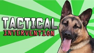 UN JEU QUI A DU CHIEN Tactical Intervention [upl. by Denten93]