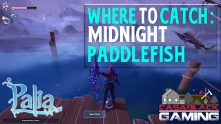 When Where amp How to Catch the Midnight Paddlefish in Palia  1 Min Guide [upl. by Cissy]