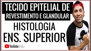 Tecido Epitelial  REVESTIMENTO E GLANDULAR │Aula de Biologia Ensino Superior  Prof Patrick Gomes [upl. by Labotsirc]