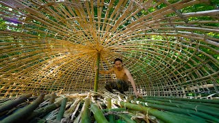 Survival Skills Unleashed  Creating a Hobbit Mushroom House with Minimal Resources Part 1 [upl. by Kcorb]