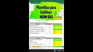 Plantillas para Calificar NOM 035 En Excel [upl. by Raycher]