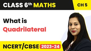 Quadrilateral  Understanding Elementary Shapes  Class 6 Maths [upl. by Ahtaela]