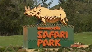 San Diego Zoo Safari Park [upl. by Oicaroh]