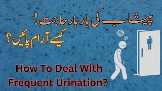 Urinary Frequency Causes Signs and Symptoms Diagnosis and Treatmentdoctor urineinfection [upl. by Charyl]