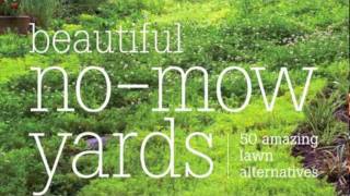 Beautiful NoMow Yards 50 Amazing Lawn Alternatives [upl. by Kyle]