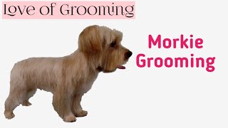 Grooming a Morkie  Yorkie Maltese Mix [upl. by Lowery]